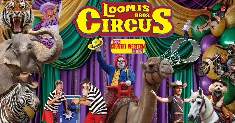 80’s Black sheep usa製circus circus reno 330px-Circus_Circus_Reno_-