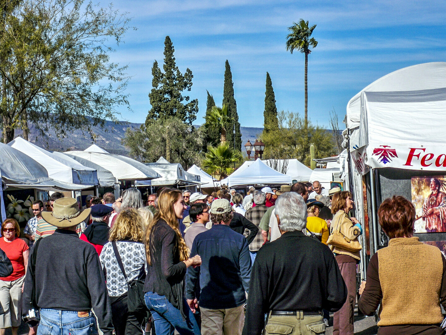 Thunderbird Artists Carefree Fine Art & Wine Festival - Thunderbird Artists Carefree Fine Art & Wine Festival