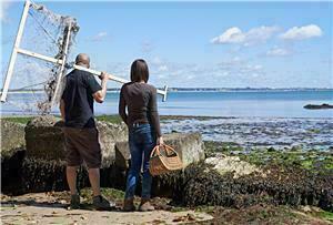 Coastal Foraging and Edible Seaweed