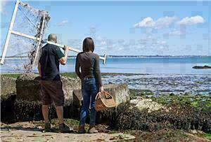 Coastal Foraging and Edible Seaweed