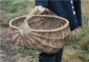 Wild Foraging and Pizza Workshops - Wild Foraging and Pizza Workshops