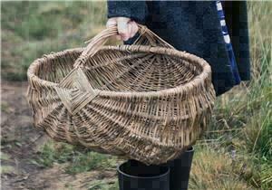 2hr Introduction to foraging - 2hr Introduction to foraging