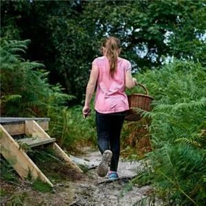 2hr Introduction to foraging