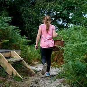 2hr Introduction to foraging