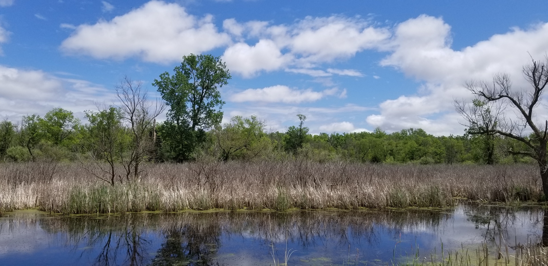Forage & Feast Survival Skills Campout - Forage & Feast Survival Skills Campout