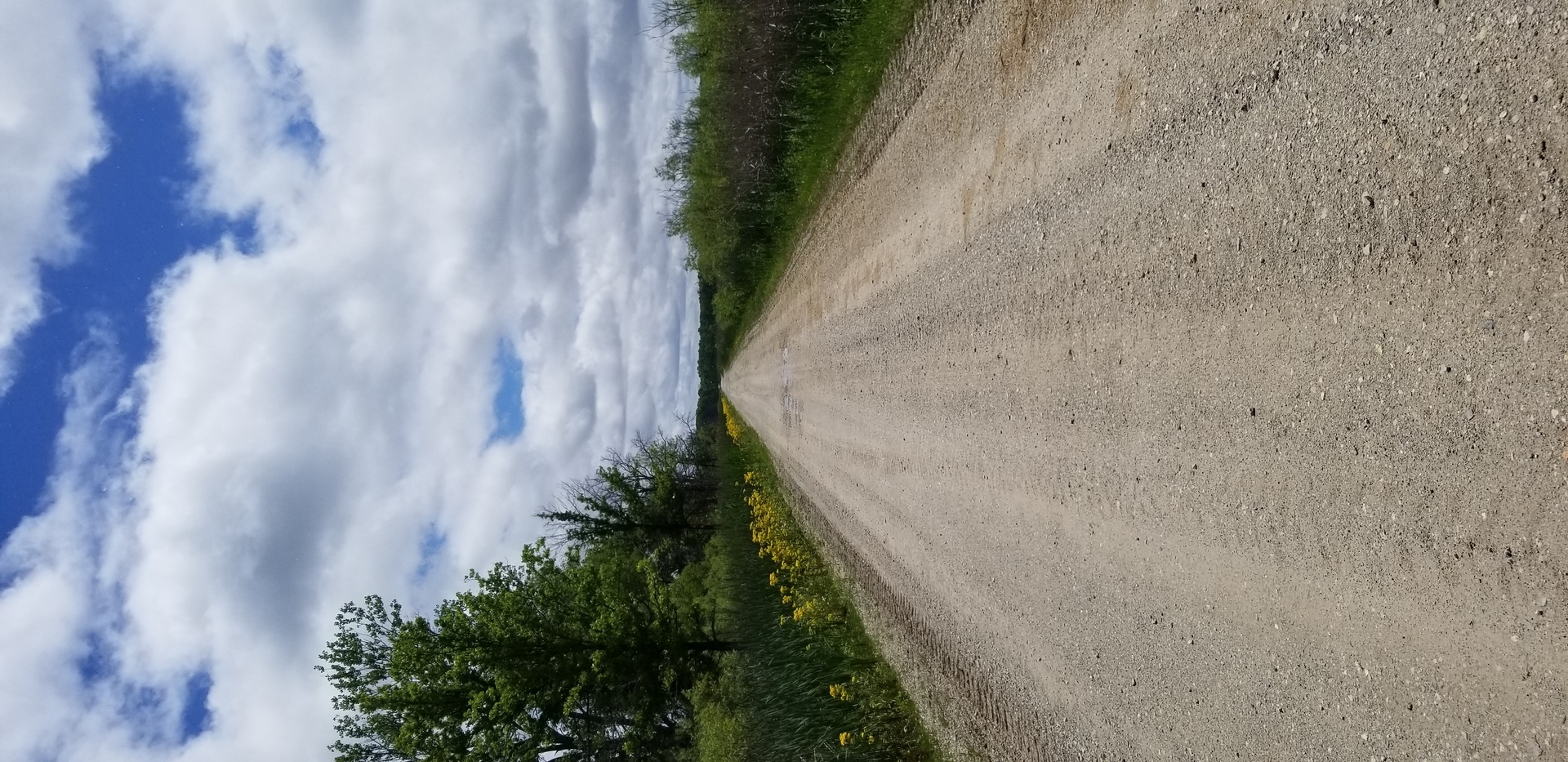 Forage & Feast Survival Skills Campout - Forage & Feast Survival Skills Campout