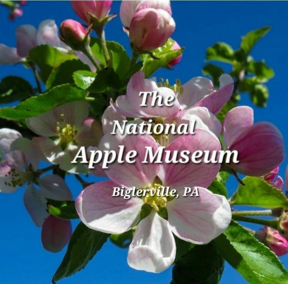 Adams County Blossom Festival