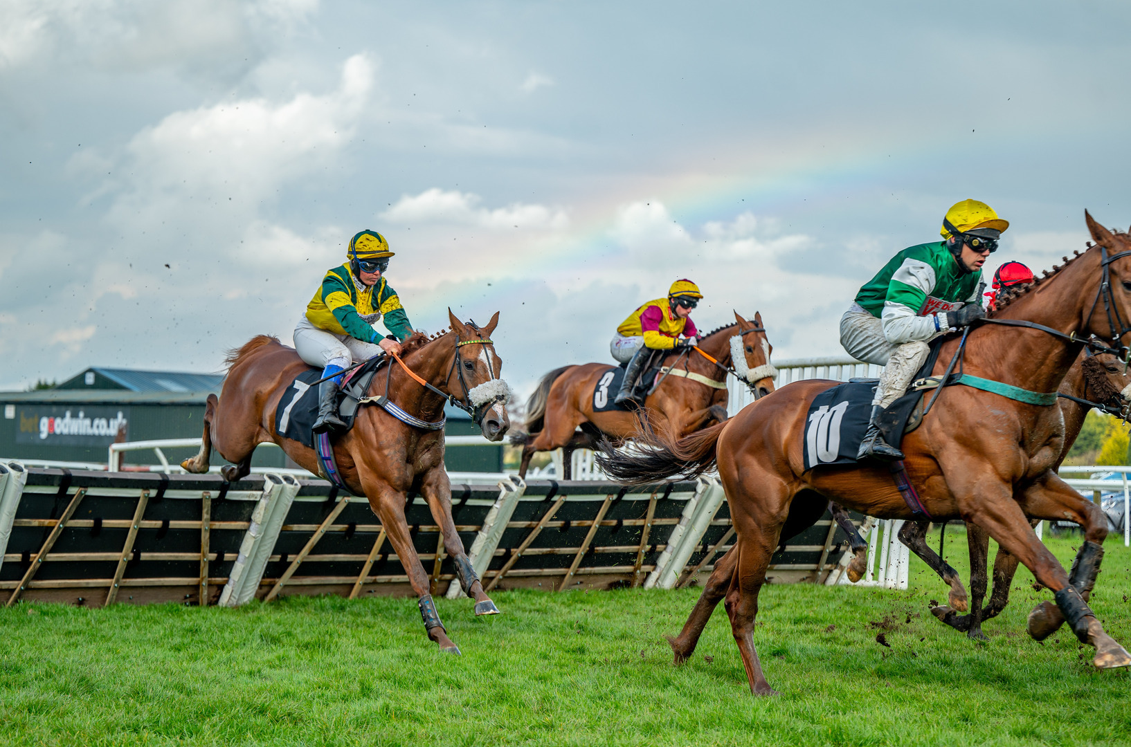 Plumpton Racecourse Season Finale - Plumpton Racecourse Season Finale
