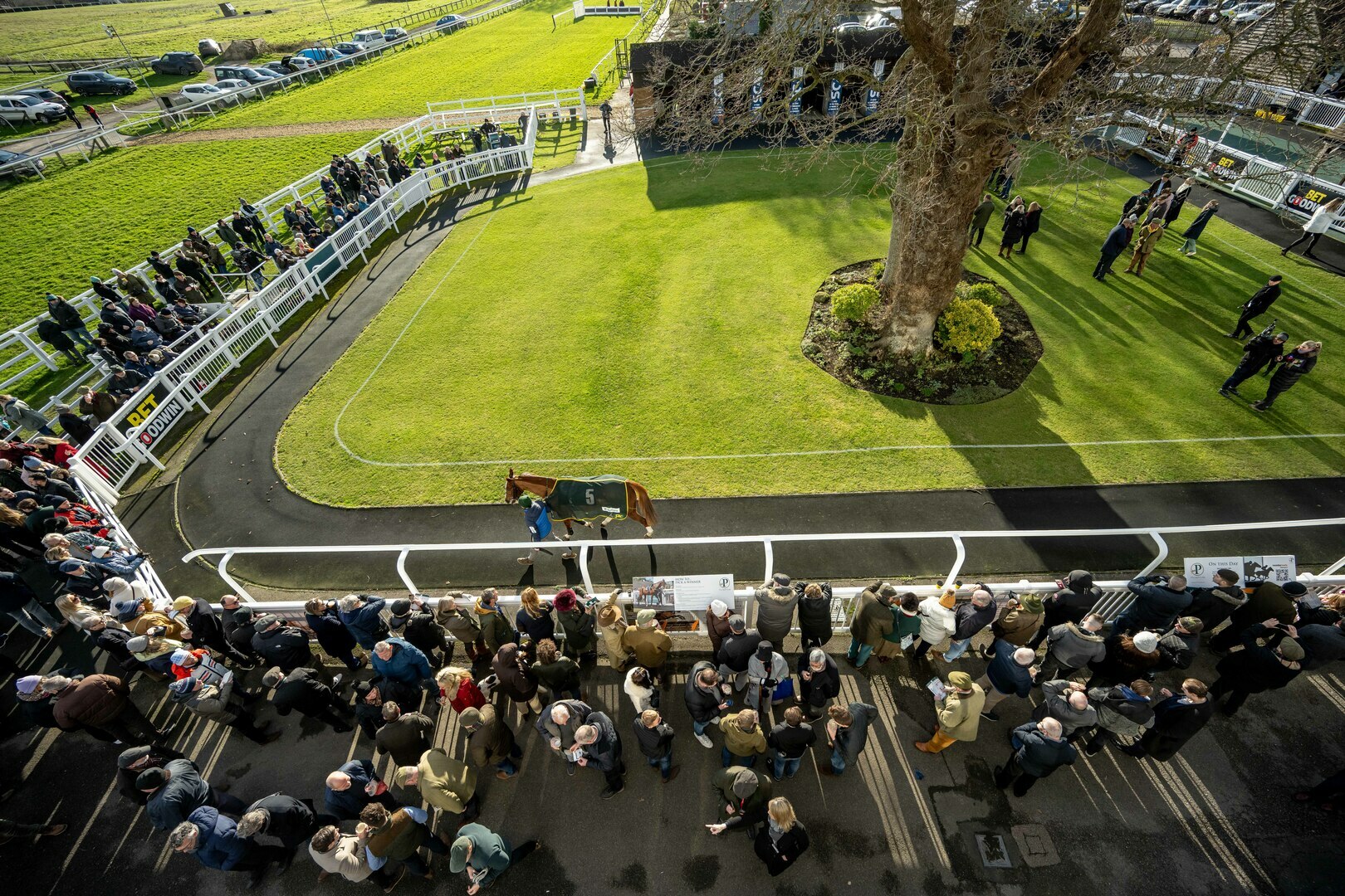 Plumpton Racecourse Season Finale - Plumpton Racecourse Season Finale