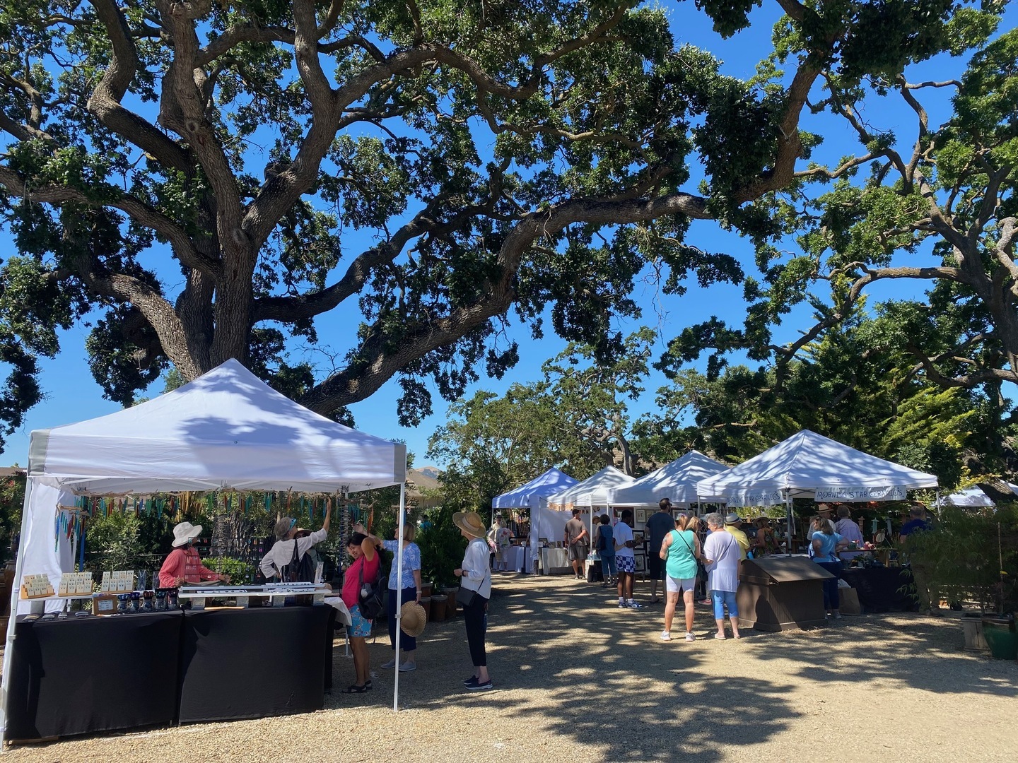 Art Under the Oaks - Art Under the Oaks