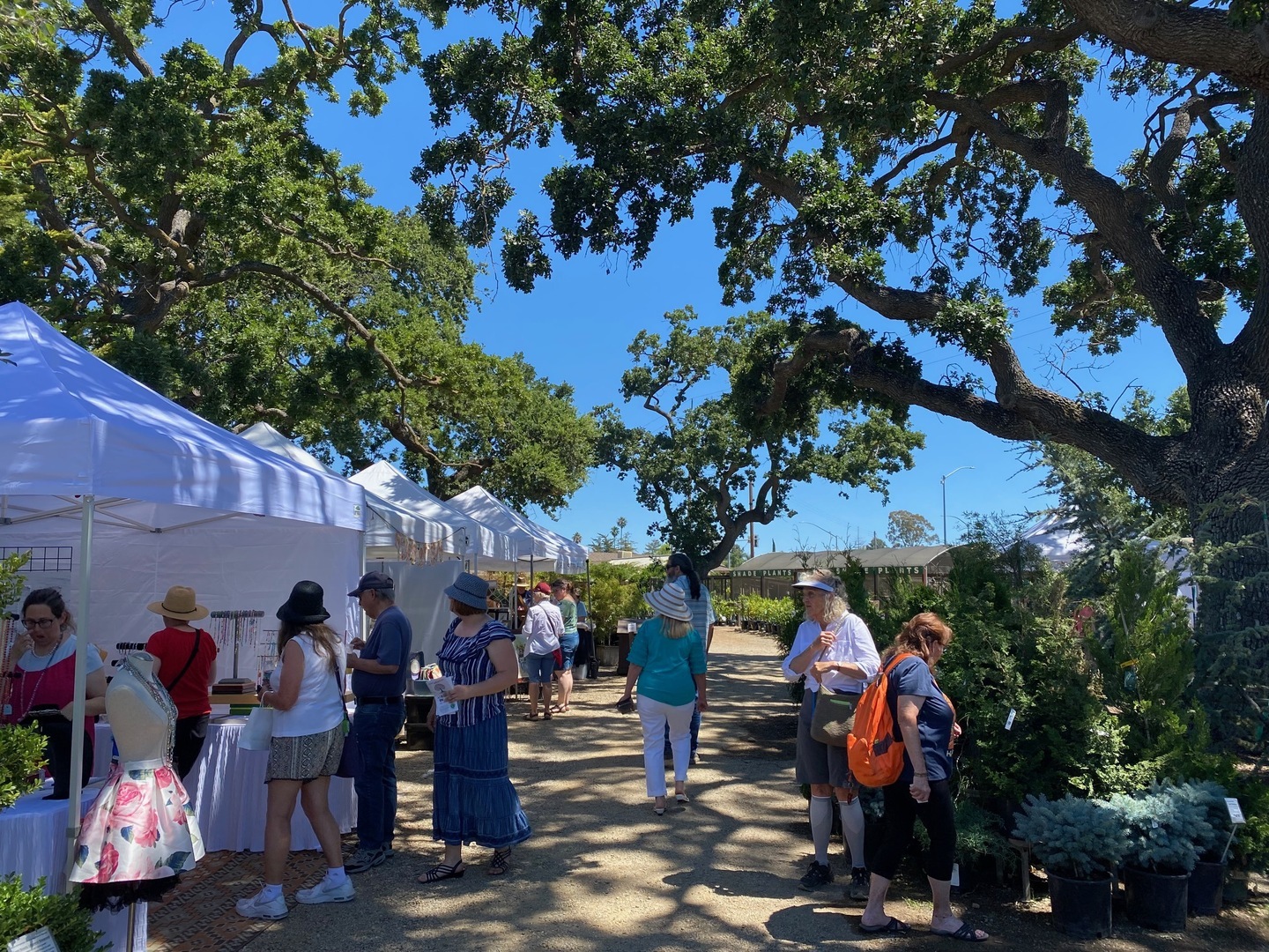 Art Under the Oaks - Art Under the Oaks