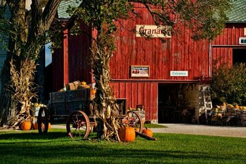 Mulberry Lane Farm Pumpkin Harvest Celebration