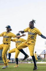 Savannah Bananas at T-Mobile Park
