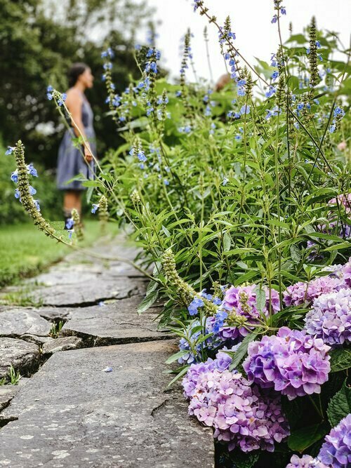 Nantucket Garden Festival: Walking Tour with Lindsay Mohr