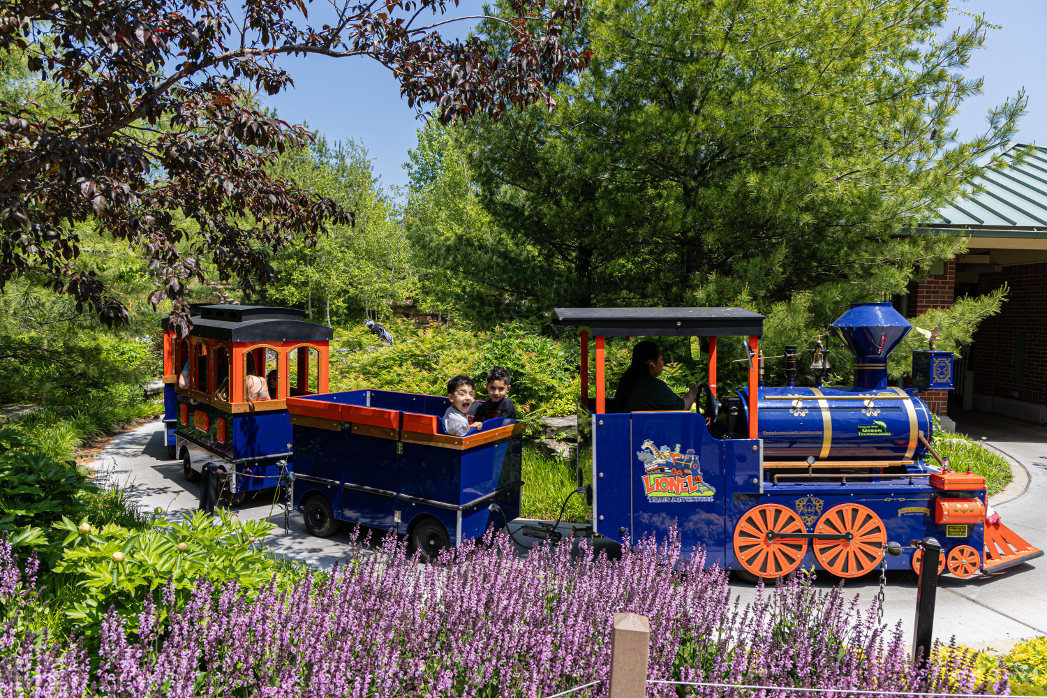 Summer Kickoff at Lincoln Park Zoo - Summer Kickoff at Lincoln Park Zoo