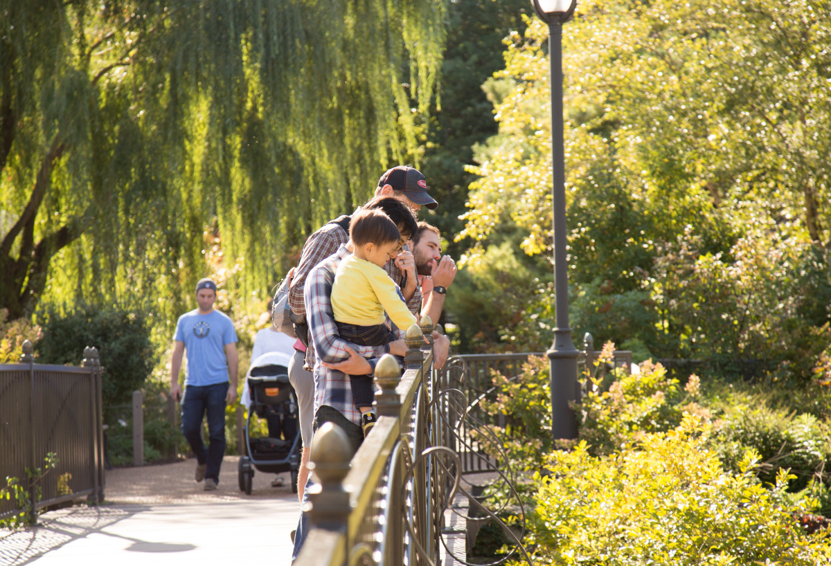 Summer Kickoff at Lincoln Park Zoo - Summer Kickoff at Lincoln Park Zoo
