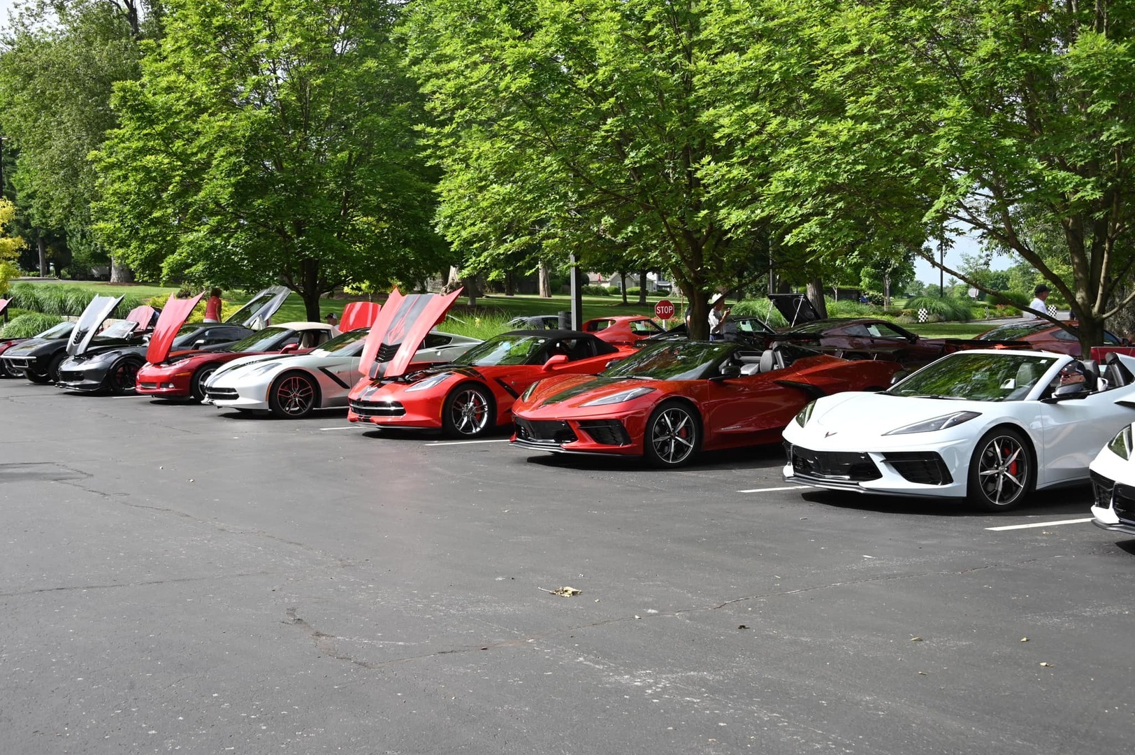 Bluegrass Corvette Cruise-In - Bluegrass Corvette Cruise-In