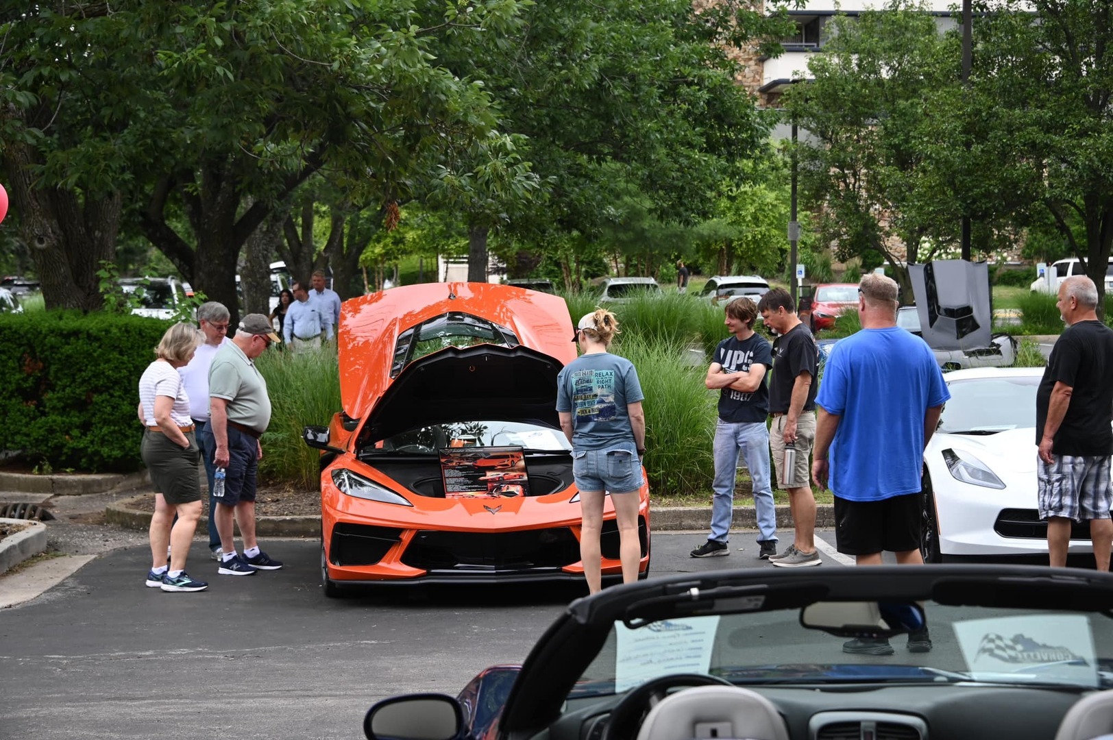 Bluegrass Corvette Cruise-In - Bluegrass Corvette Cruise-In