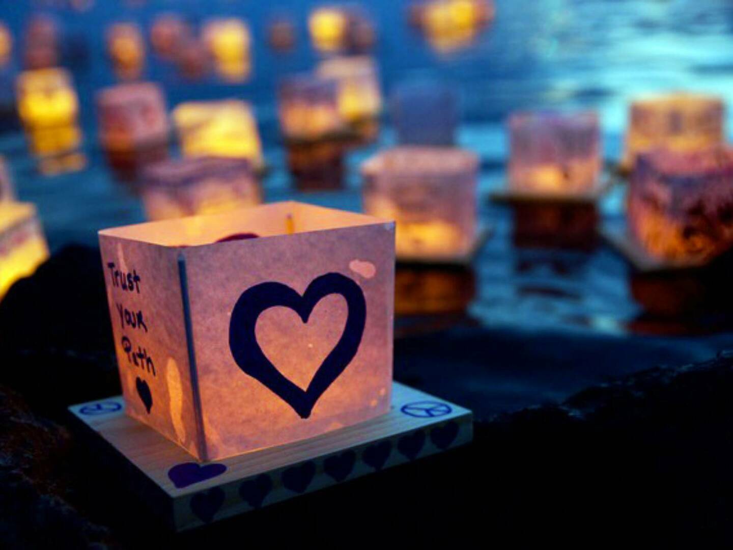 Water Lantern Festival Newcastle 2025 - Water Lantern Festival Newcastle 2025