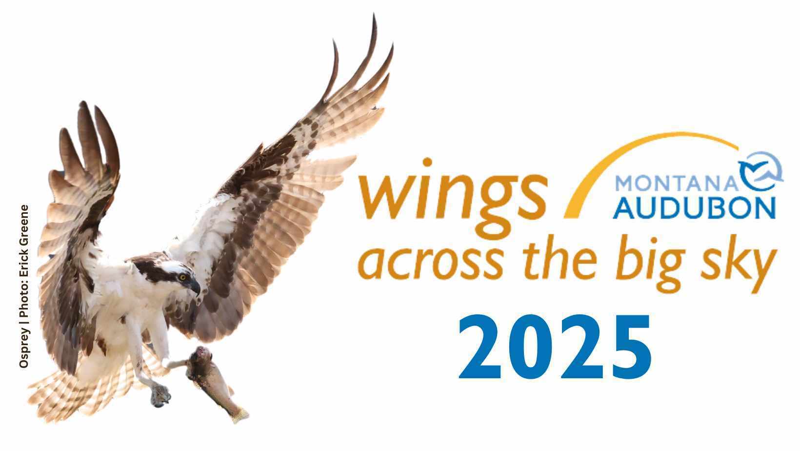 Wings Across the Big Sky Birding Festival