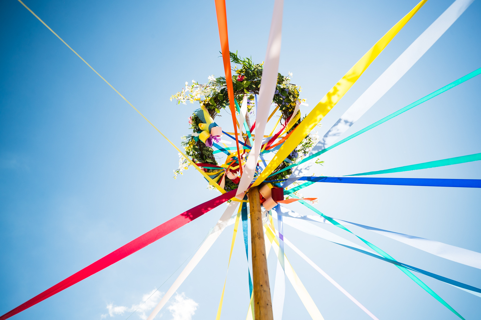 La Primavera Festival: A Celebration of Spring - La Primavera Festival: A Celebration of Spring