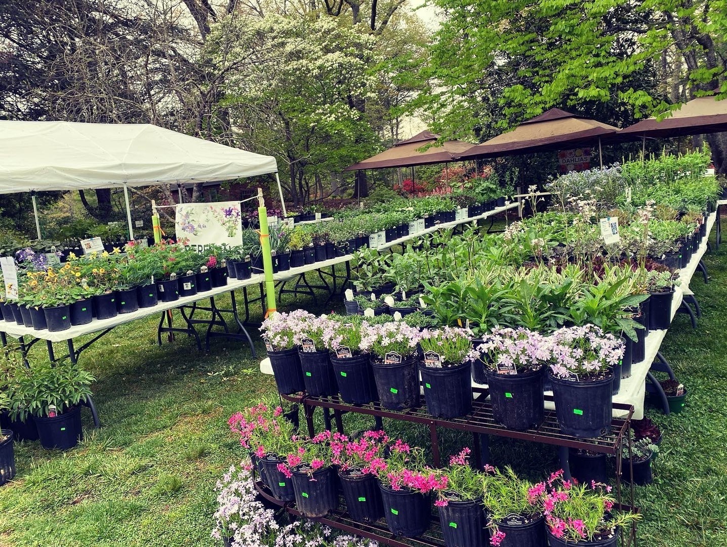 Bullington Gardens Annual Spring Plant Sale
