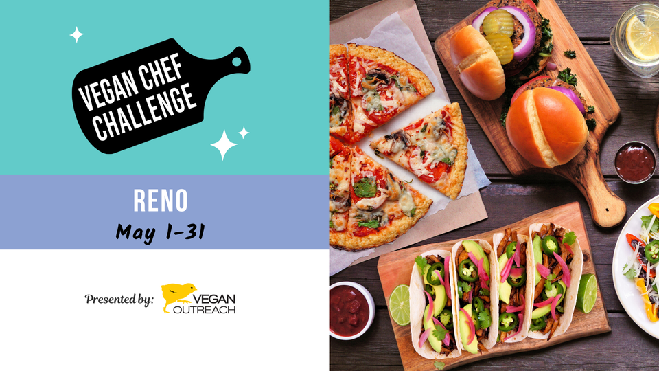 Reno Vegan Chef Challenge