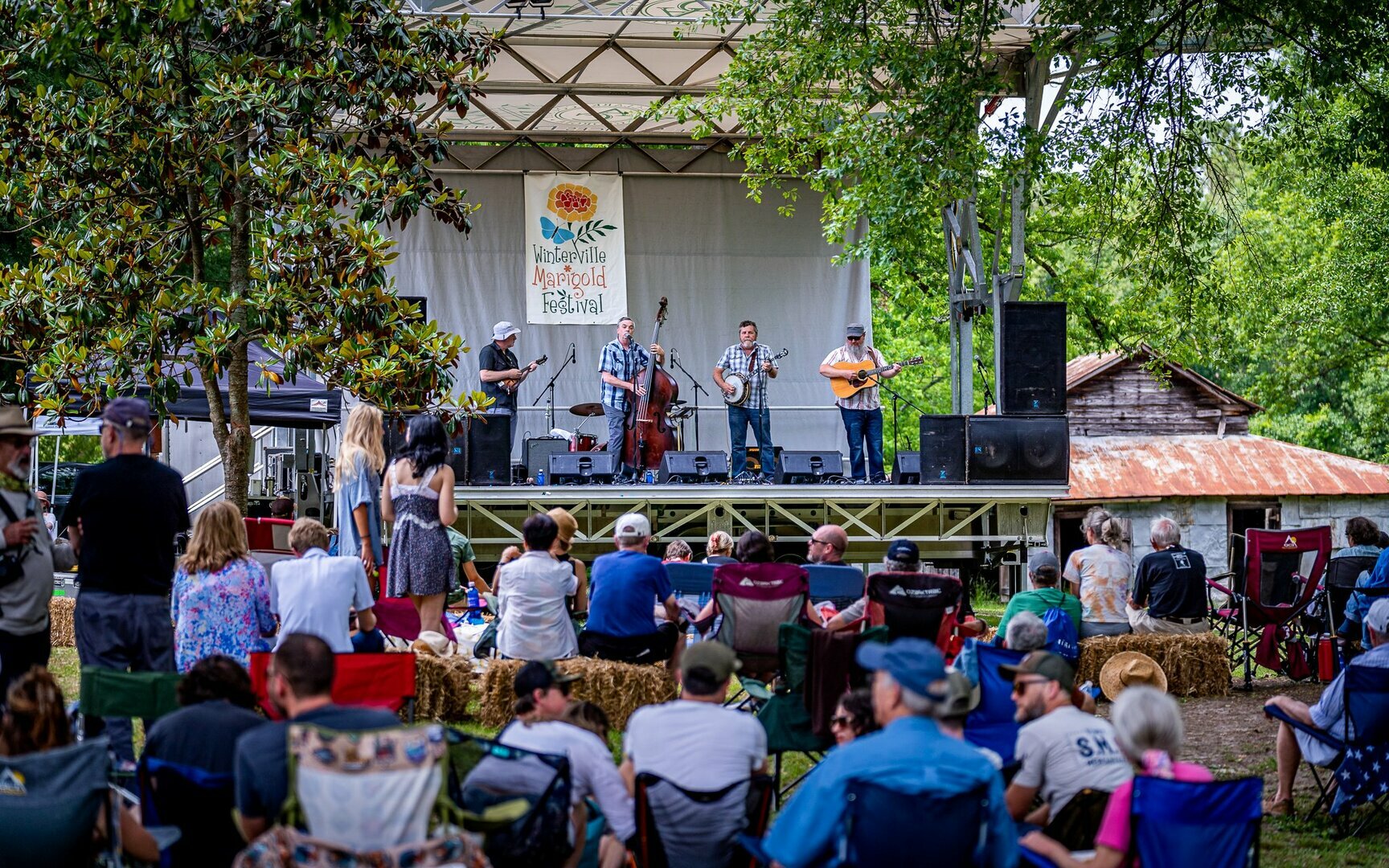 Winterville Marigold Festival