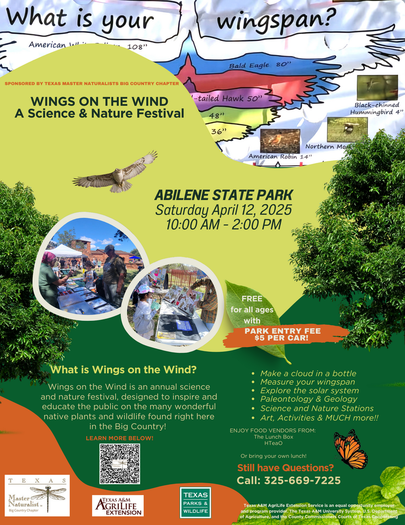 Wings on the Wind A Science and Nature Festival