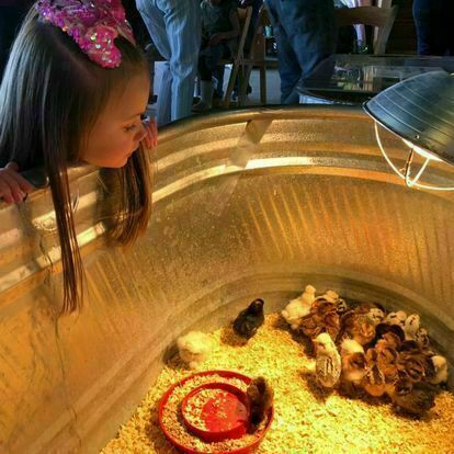 Bunny Bash at Bloomsbury Farm - Bunny Bash at Bloomsbury Farm