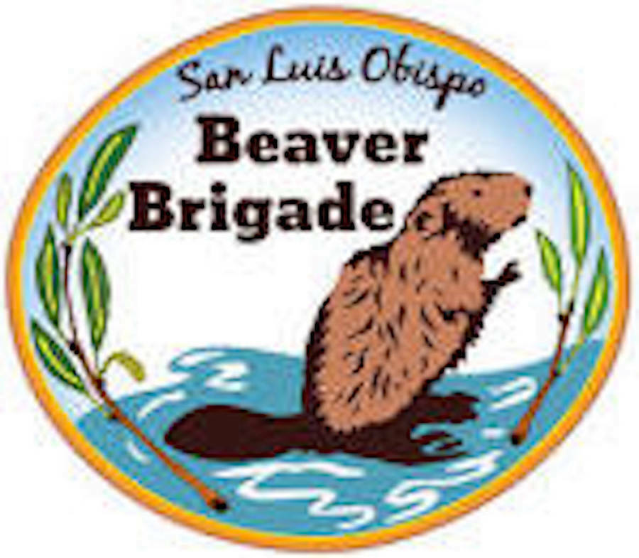 3rd Annual SLO County Beaver Festival - 3rd Annual SLO County Beaver Festival