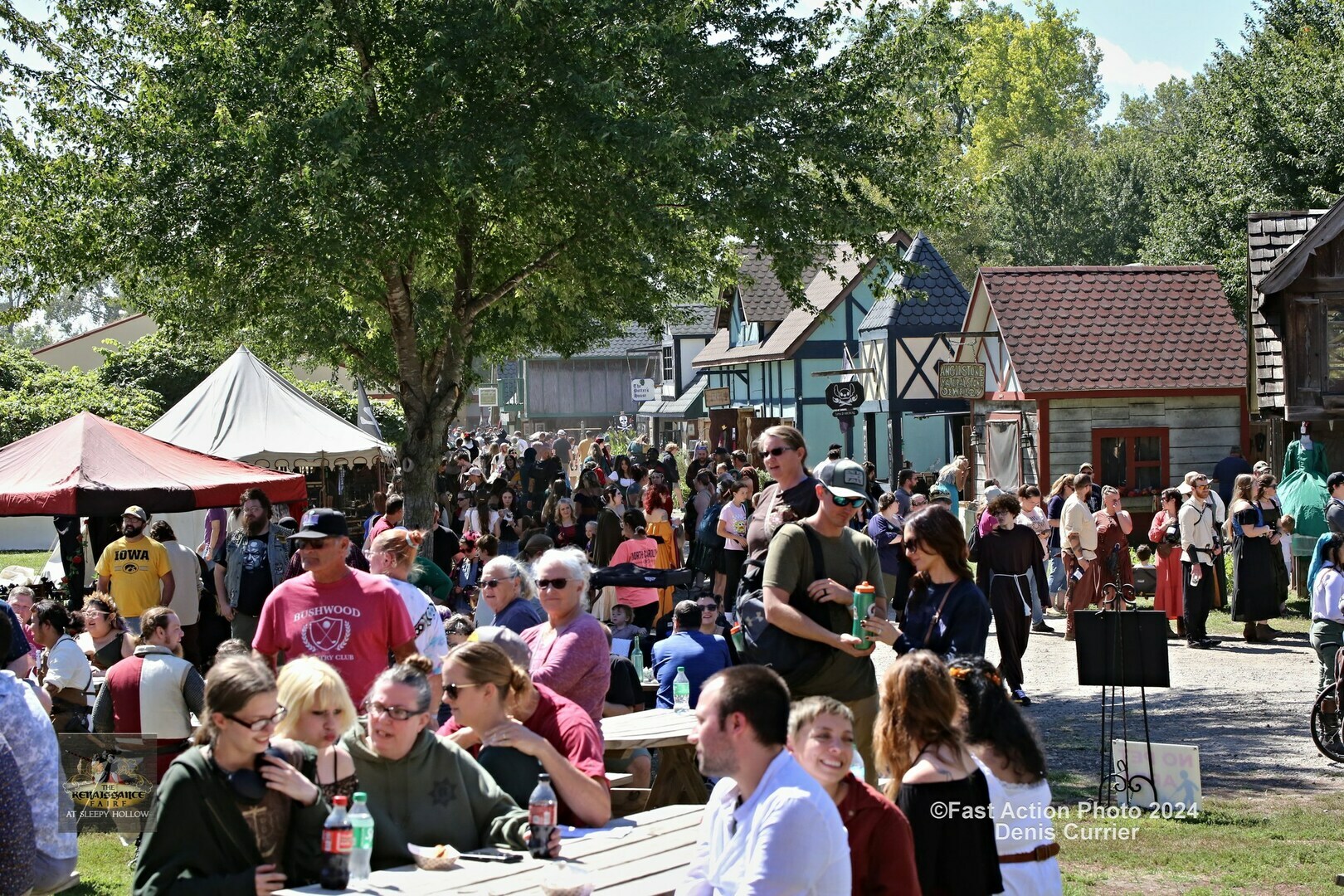 Spring Fling - Spring Fling