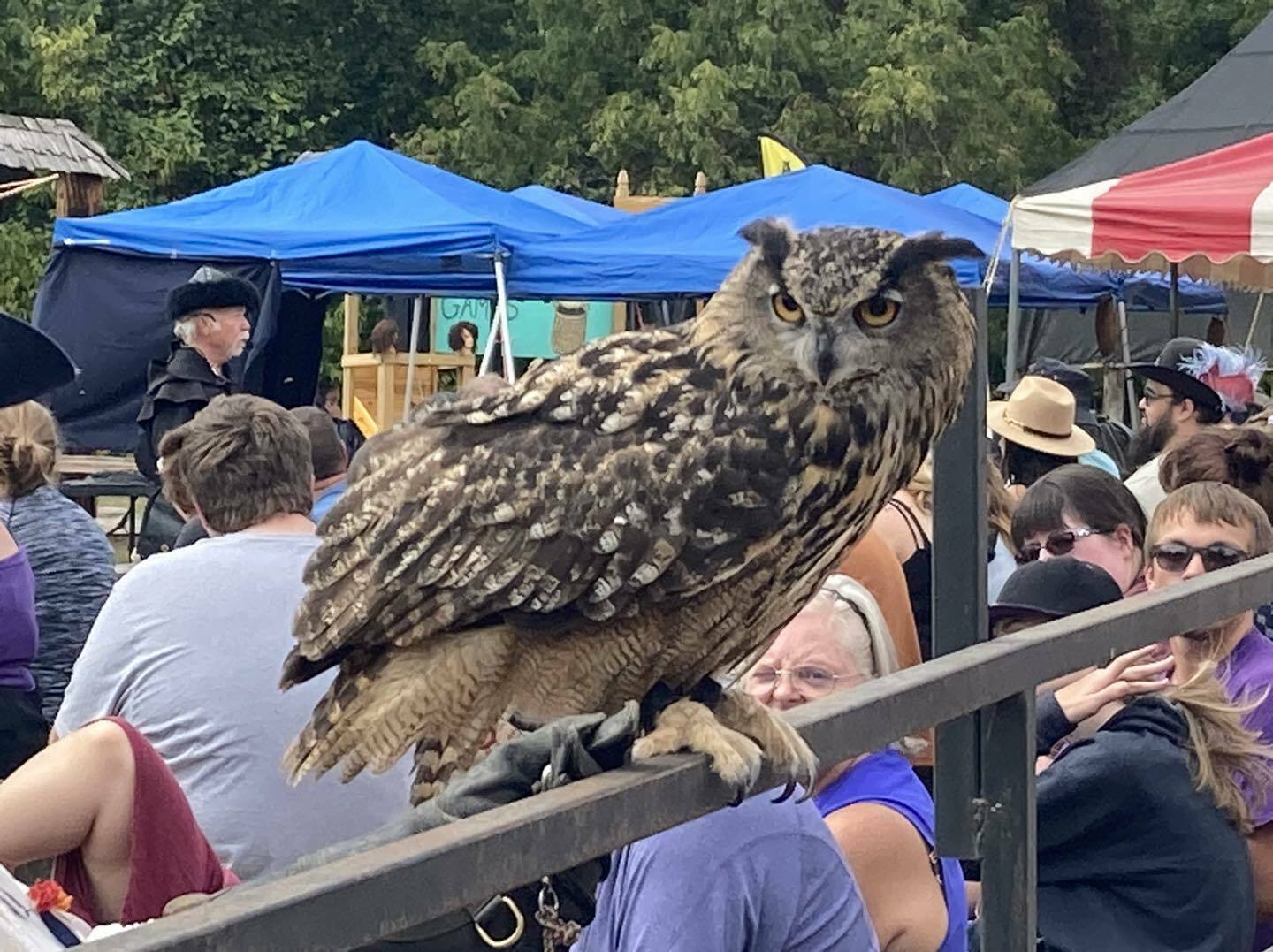 Spring Fling - Spring Fling