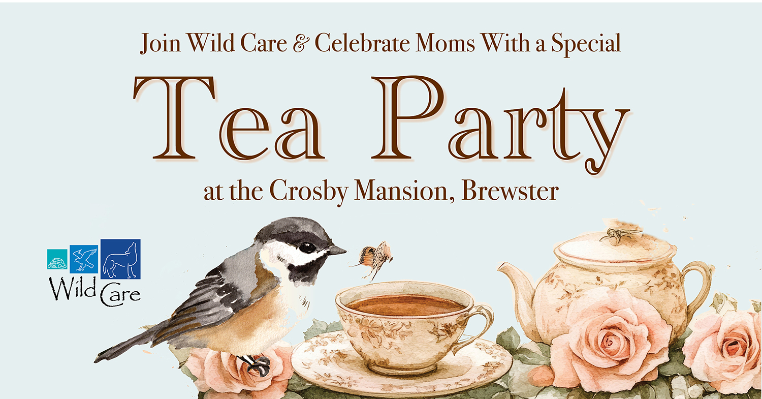 Mother's Day Weekend Tea Party