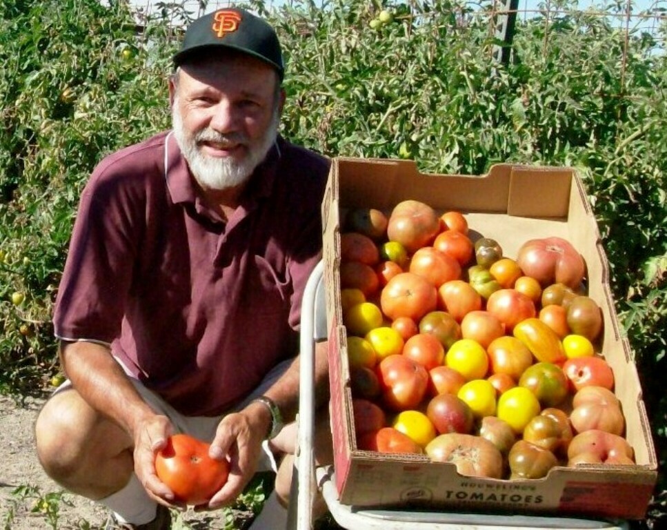 Growing Great Tomatoes with Larry Wagner