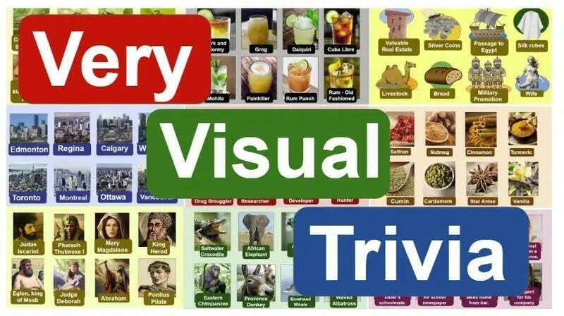Very Visual Singles Trivia Night