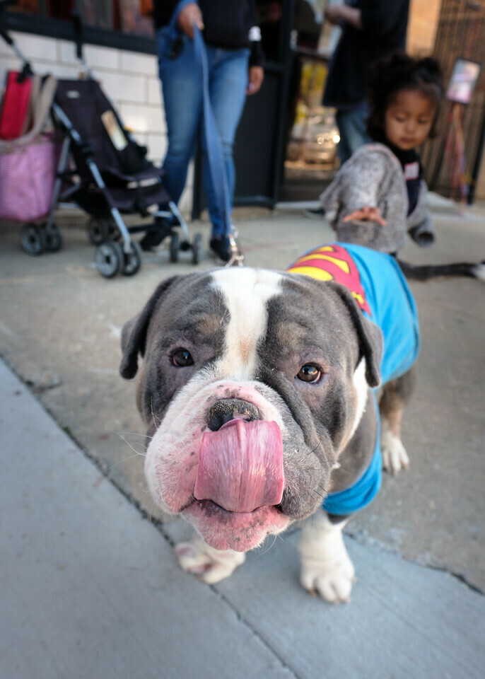 Free Comic Book Day Comic Shop Crawl - Free Comic Book Day Comic Shop Crawl