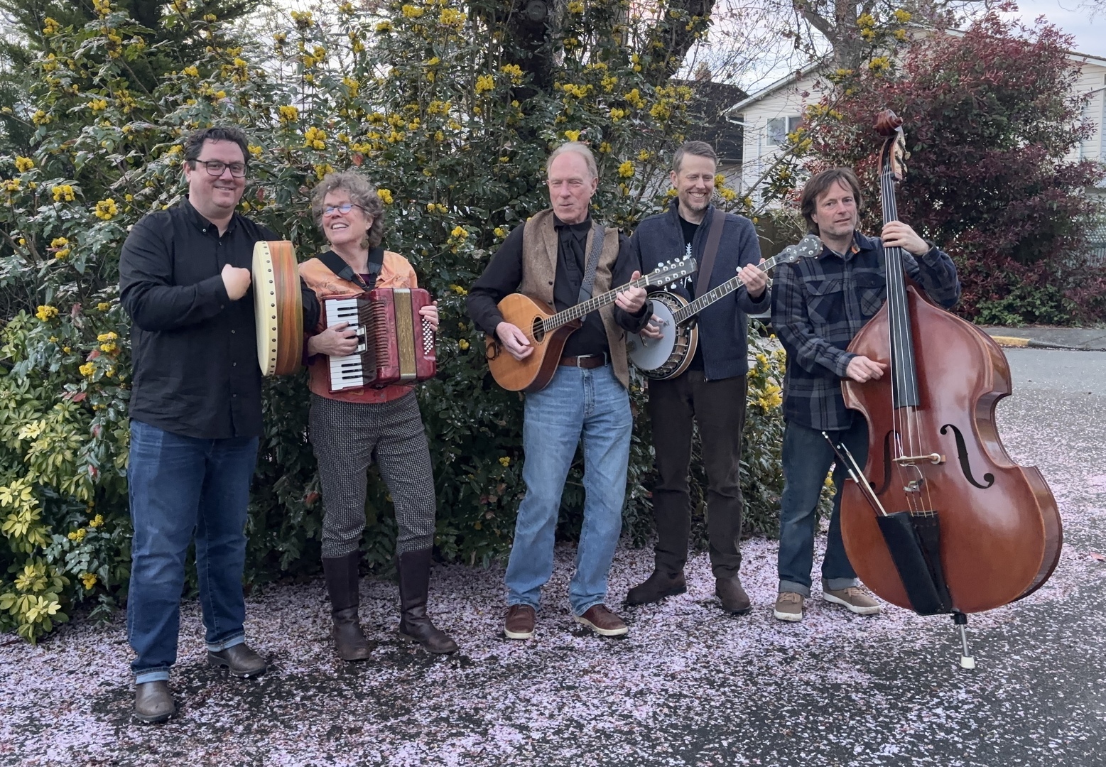 Backyard Boulevard in Concert