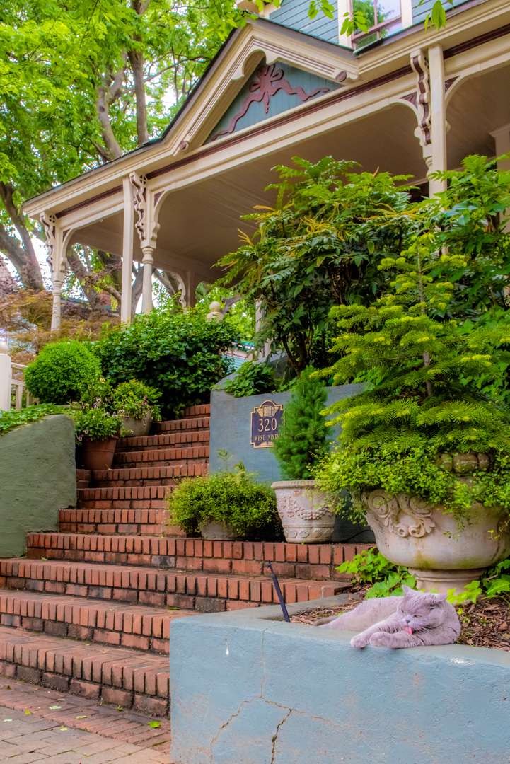 Secret Gardens of Fourth Ward - Secret Gardens of Fourth Ward