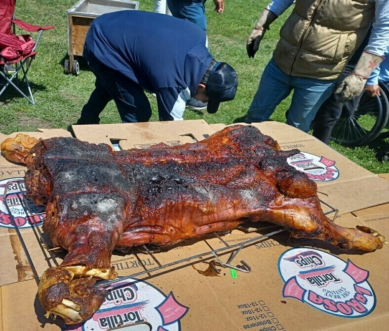 True Love Christian Music & Art Festival - True Love Christian Music & Art Festival