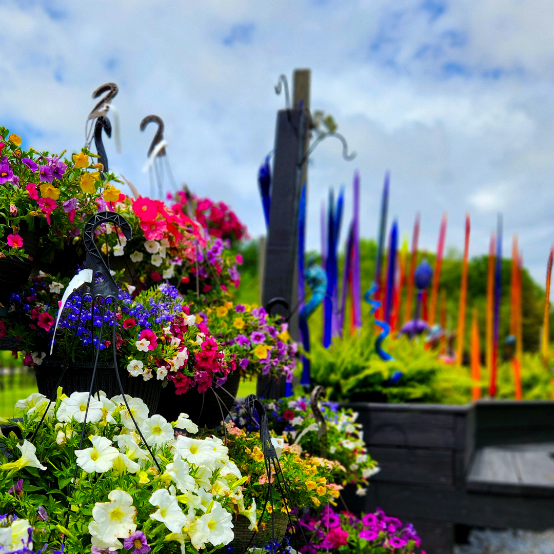 Jack Pine Glass Garden Art Festival - Jack Pine Glass Garden Art Festival