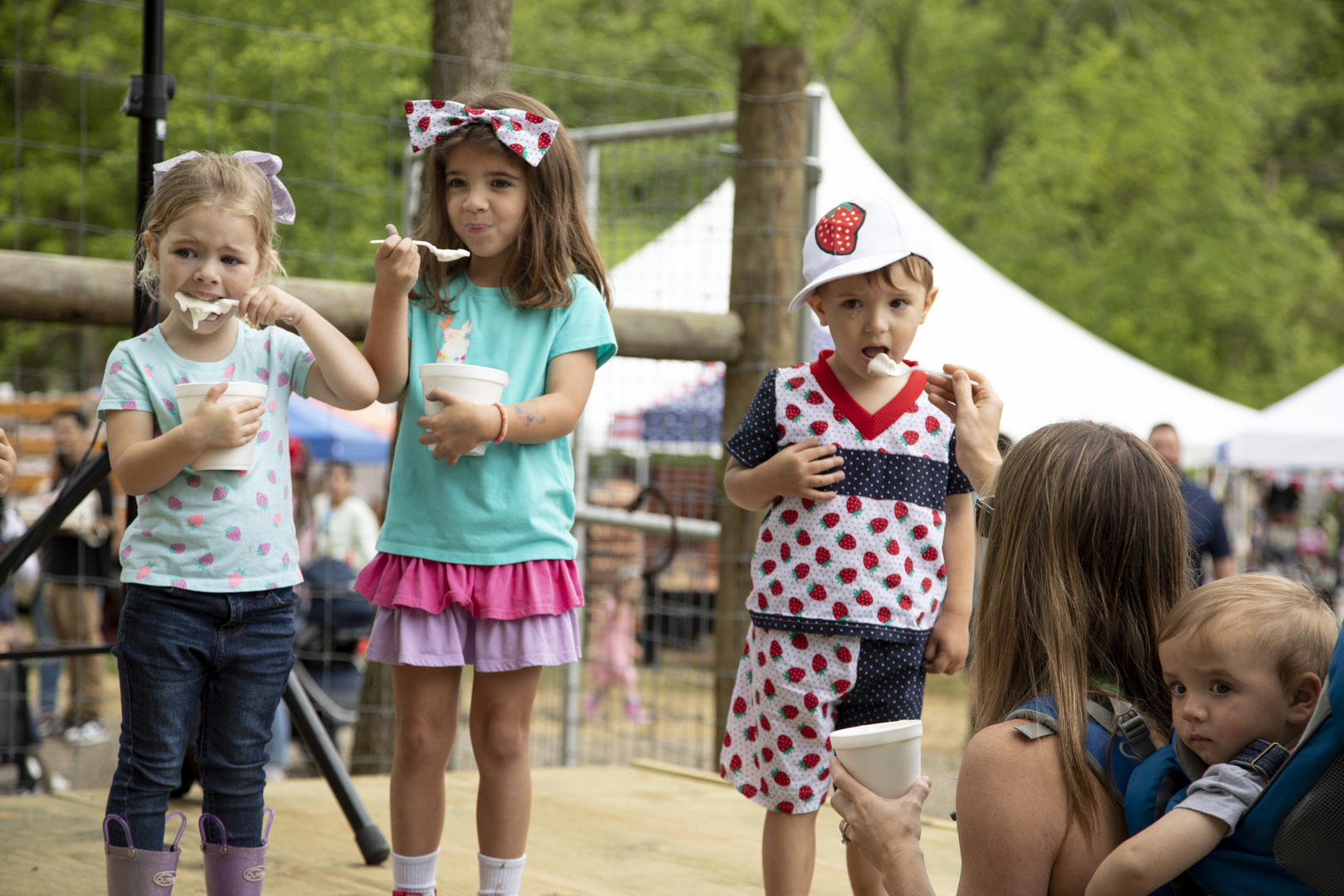 Lincoln Strawberry Festival - Lincoln Strawberry Festival