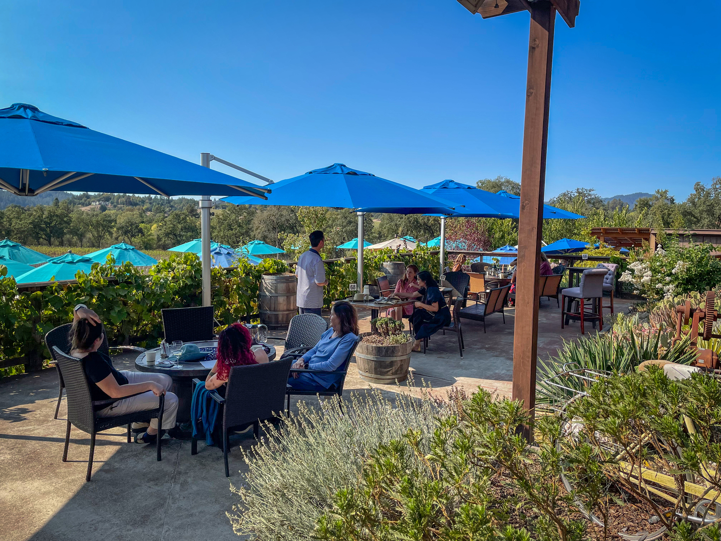 Happy Hour at Russian River Vineyards