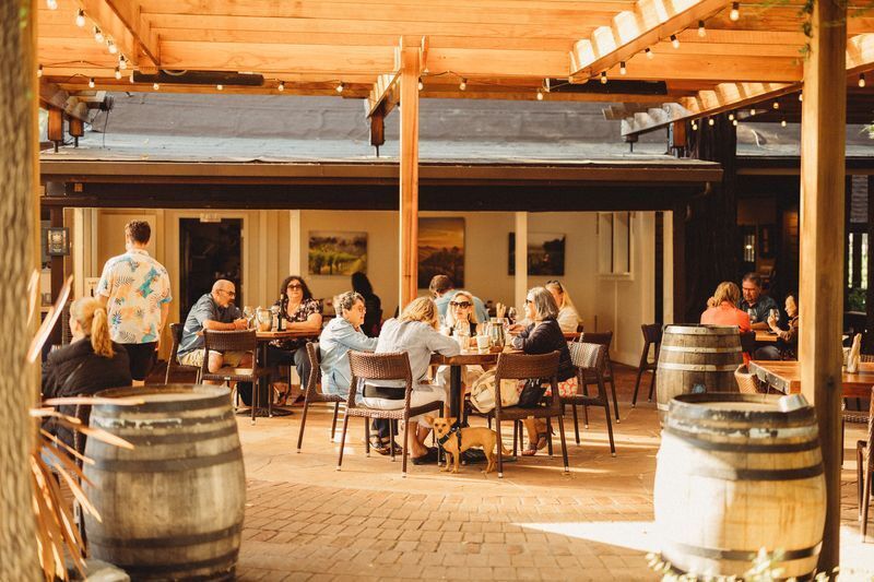 Happy Hour at Russian River Vineyards - Happy Hour at Russian River Vineyards