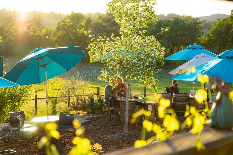 Happy Hour at Russian River Vineyards - Happy Hour at Russian River Vineyards