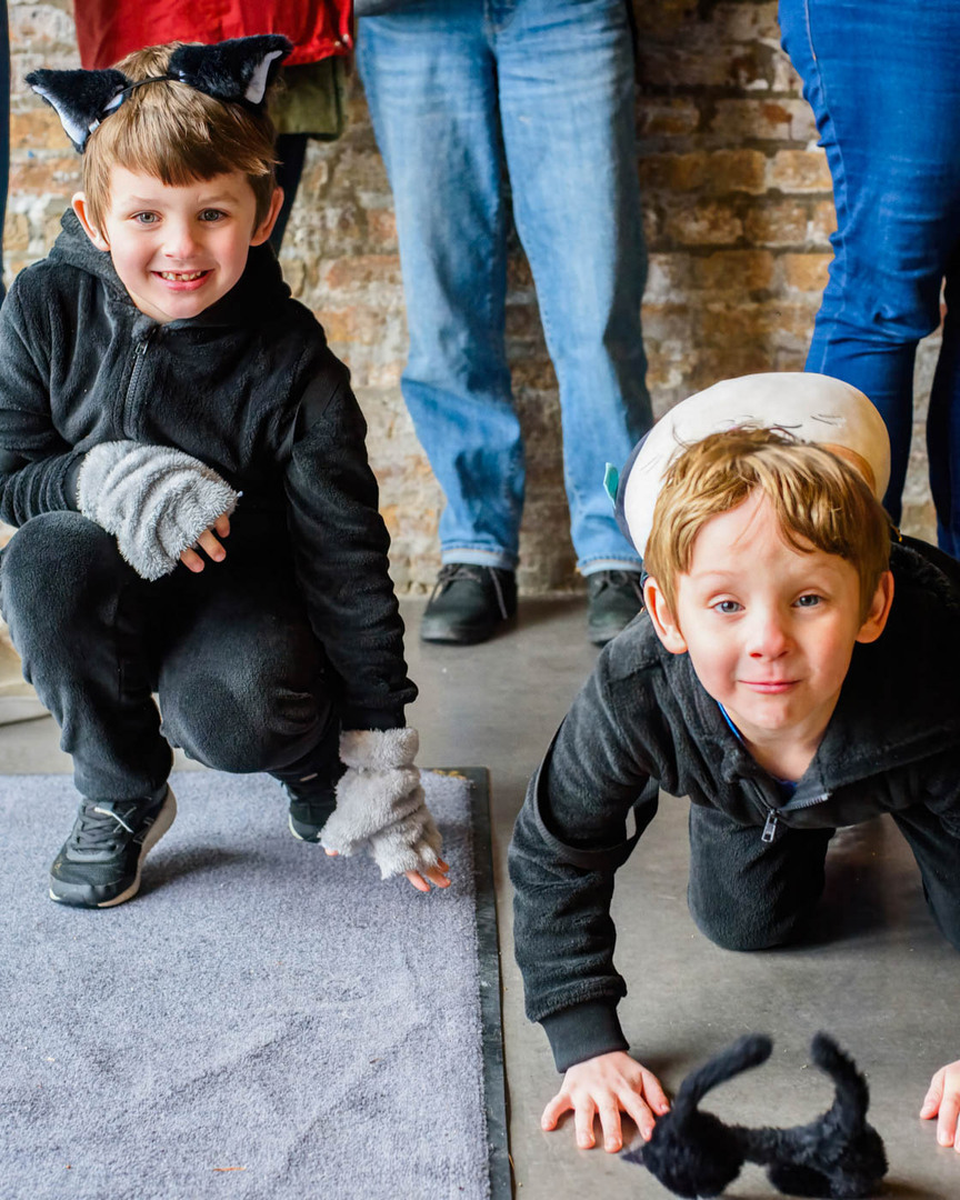 POP Cats Columbus - POP Cats Columbus