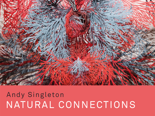 Andy Singleton, 'Natural connections'