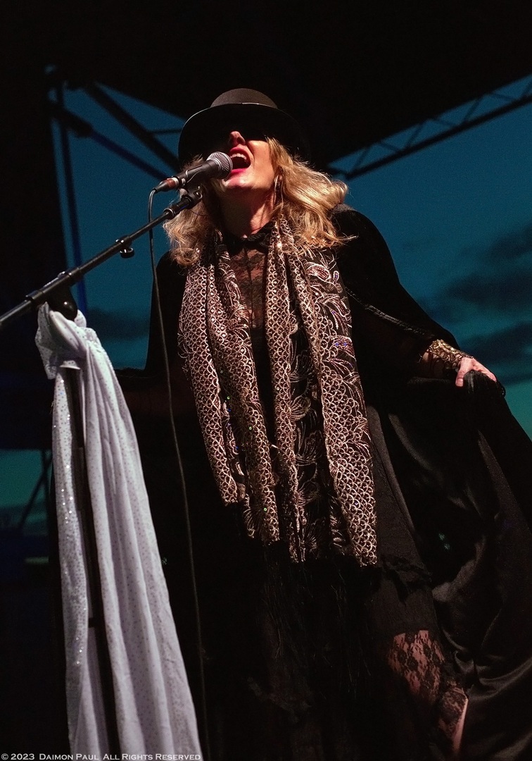 An Evening With Stevie...