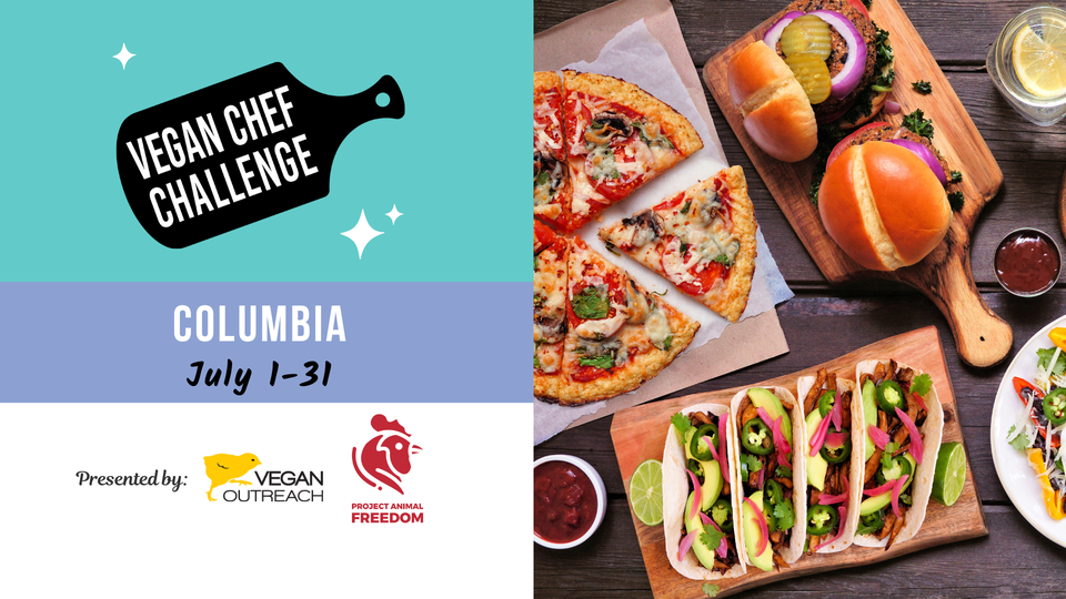 Columbia Vegan Chef Challenge
