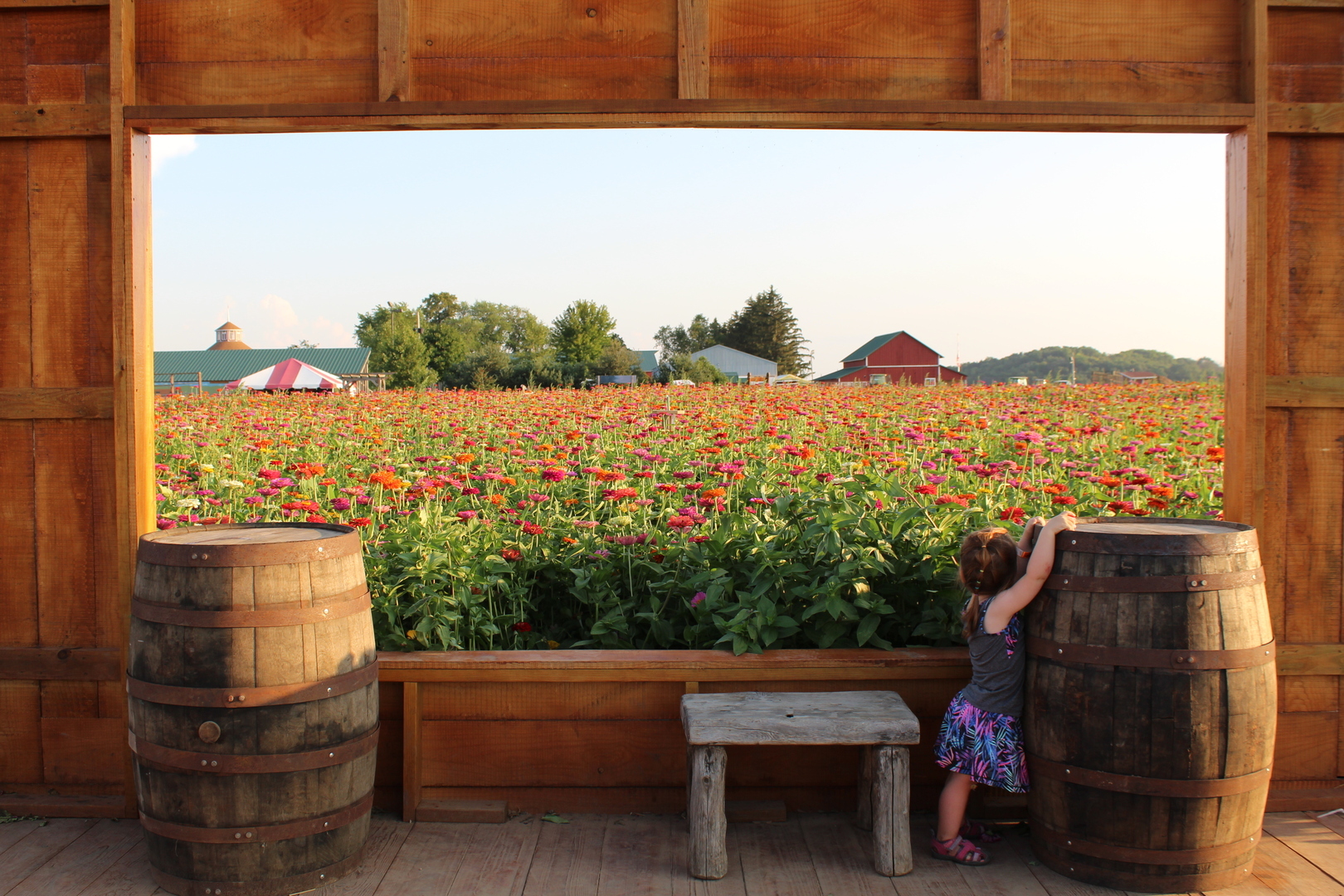 Carson Hall at Blooms on the Farm - Carson Hall at Blooms on the Farm